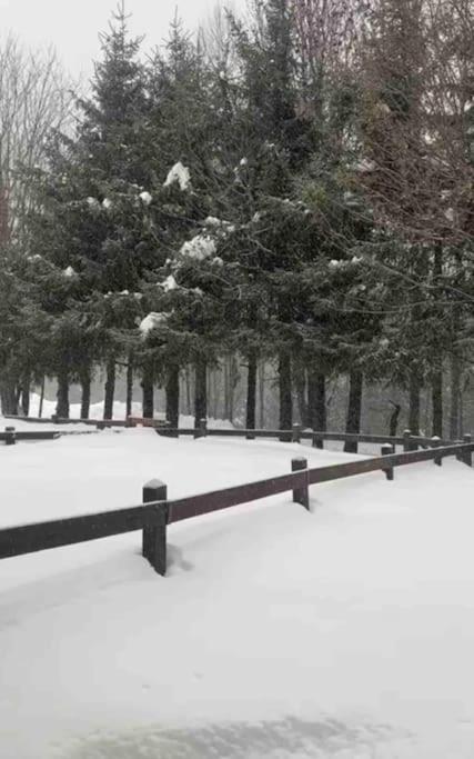 Appartamento Ampio Giardino Adiacente Piste Sci 4/6 Posti Letto La Thuile Esterno foto