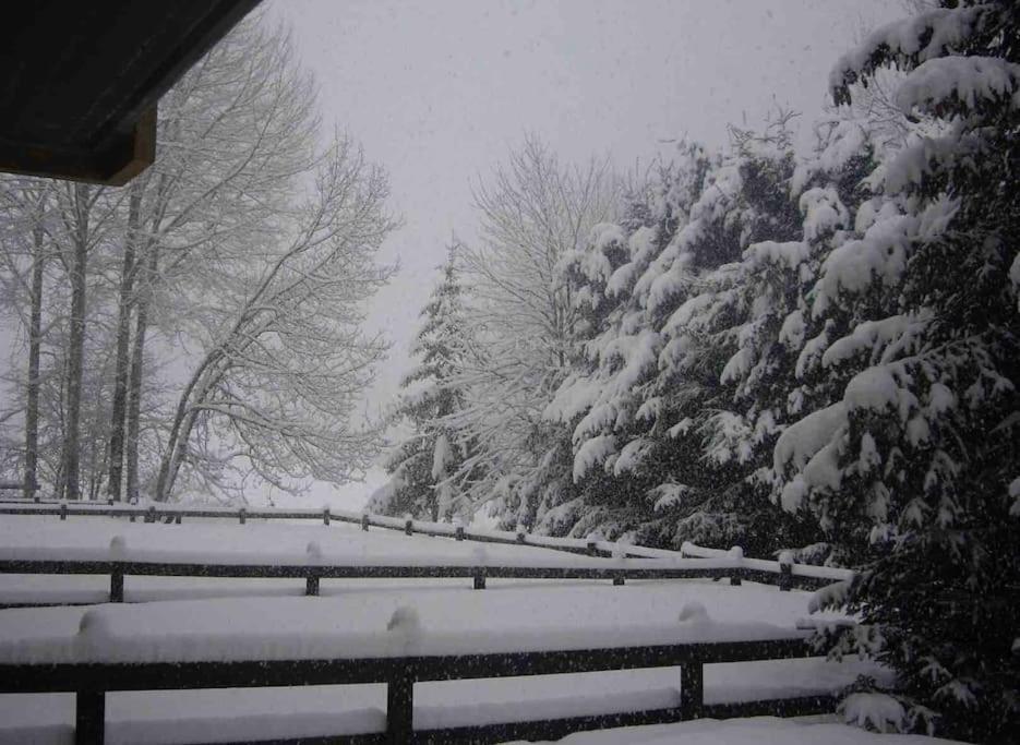 Appartamento Ampio Giardino Adiacente Piste Sci 4/6 Posti Letto La Thuile Esterno foto